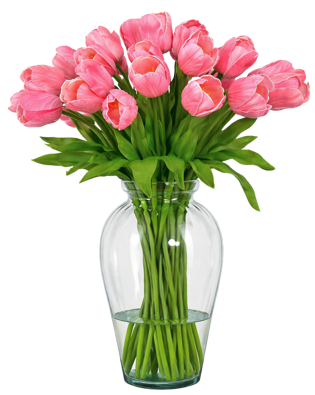 creativecanvasshop-pink-tulips-10072634_1920