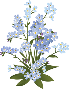 dandelion_tea-forget-me-not-6009034_1920