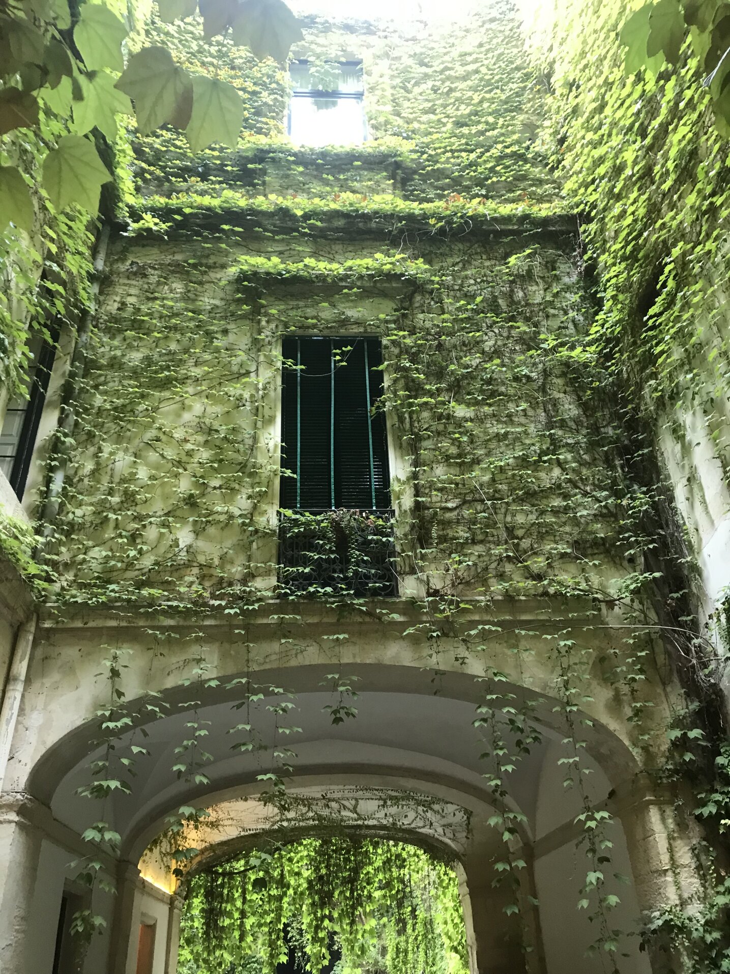 palazzo v.jpeg