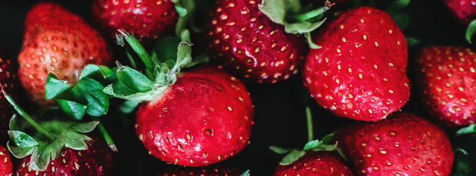 progetto senza titolo (6)