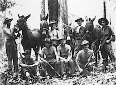 b7c45022-2398-47af-888f-6d4341643549