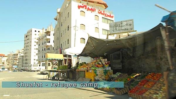 8b2e70fe-fe9b-4c69-9ede-bbbb0995e17c