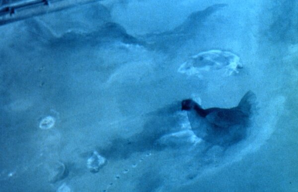 f8179056-1cd5-4014-a08a-640cda762258