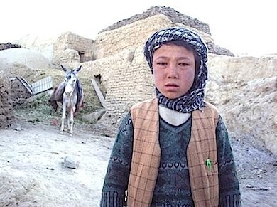 e0693c85-778a-49ca-8cf3-2c52de90d47a