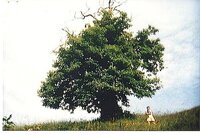 04a57ef1-4f43-4186-a1cb-49d0f3479247