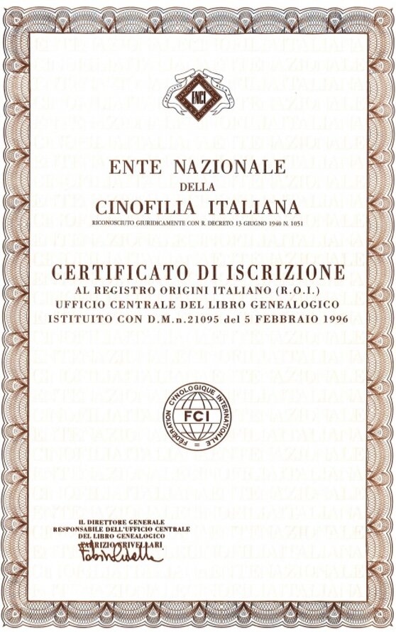 2dfdc507-0800-4566-967a-20cd022f8155 2dfdc507-0800-4566-967a-20cd022f8155