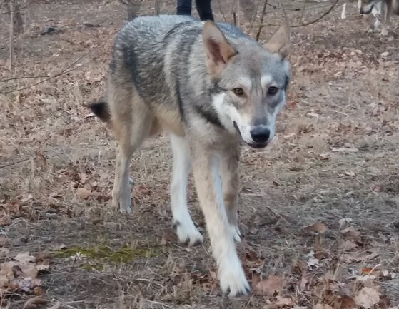 9c7b61a7-a7b2-456b-9195-f304d65efeb1