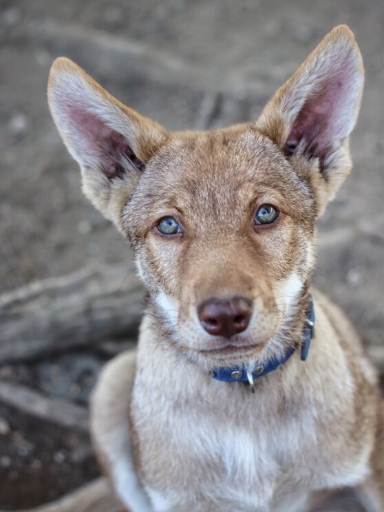 28285522-13fa-42df-9aa7-c9ab86791600