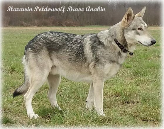 a1018535-94bc-43cb-8166-015332043d6a