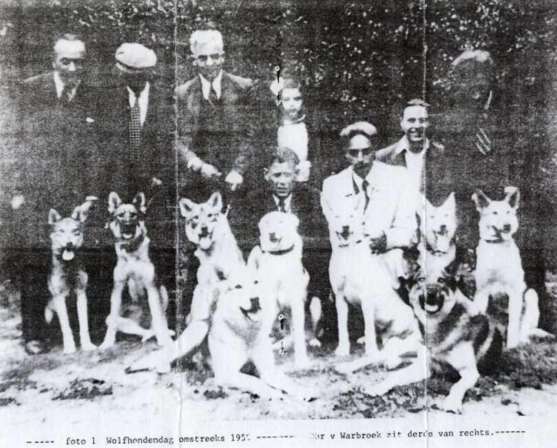 1952 - Dipartimento di Polizia con unit� cinofile saarloos