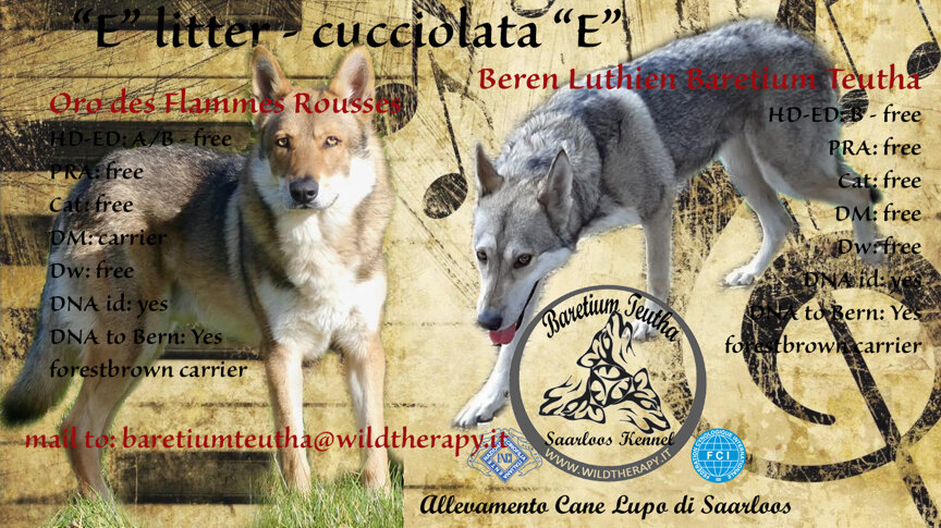 ea8f6bed-d0fd-48fb-a9c7-22a9f48173b5