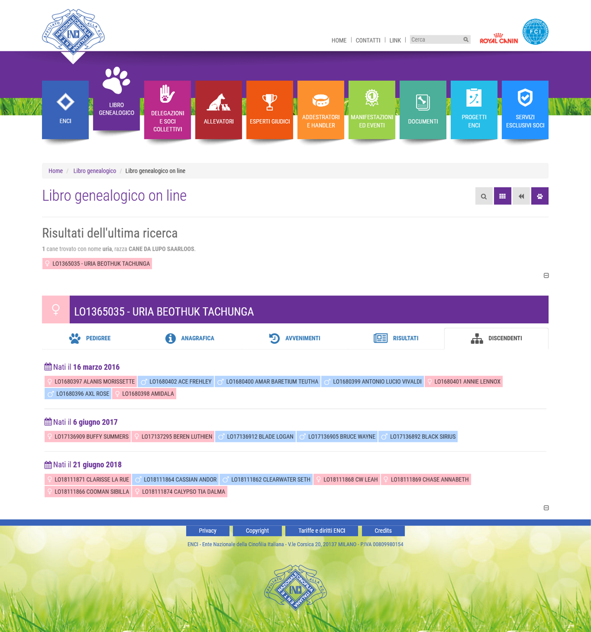 d3227cea-24db-43c7-bde8-070e7834ddde d3227cea-24db-43c7-bde8-070e7834ddde