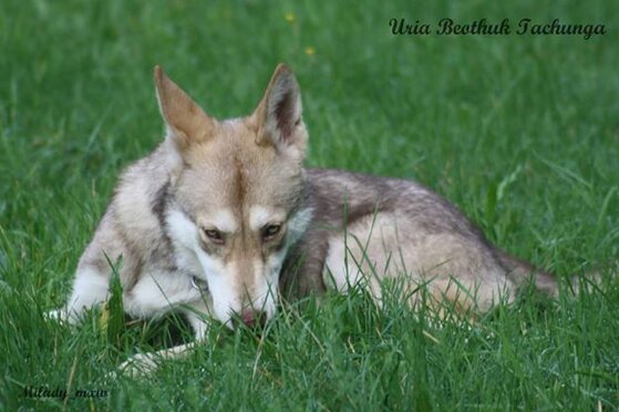 1477409_10202066699662442_617074956_n