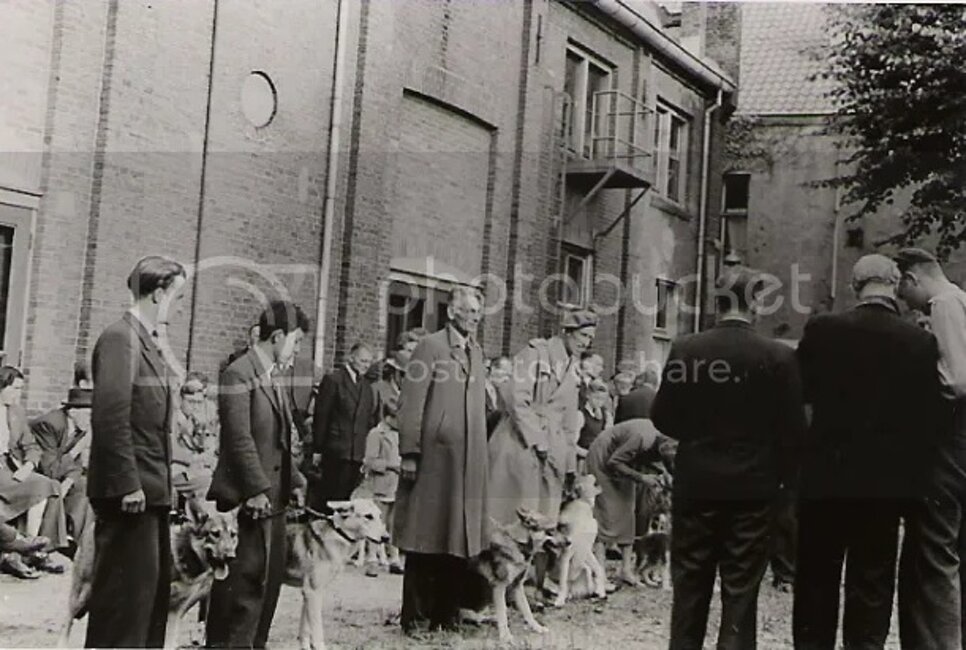 Anni '50, foto con vari proprietari di saarloos