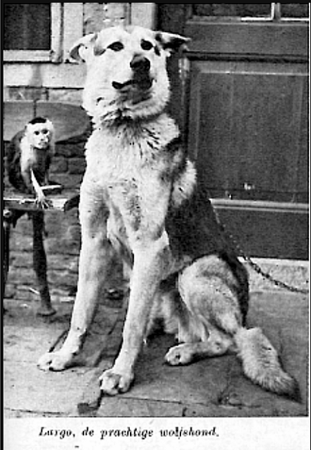 Largo Van de Kilstroom (F2 - 1939)