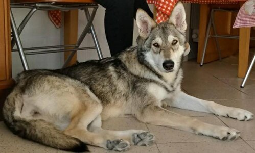 40503d87-84b8-4301-97ee-4dda445c856c