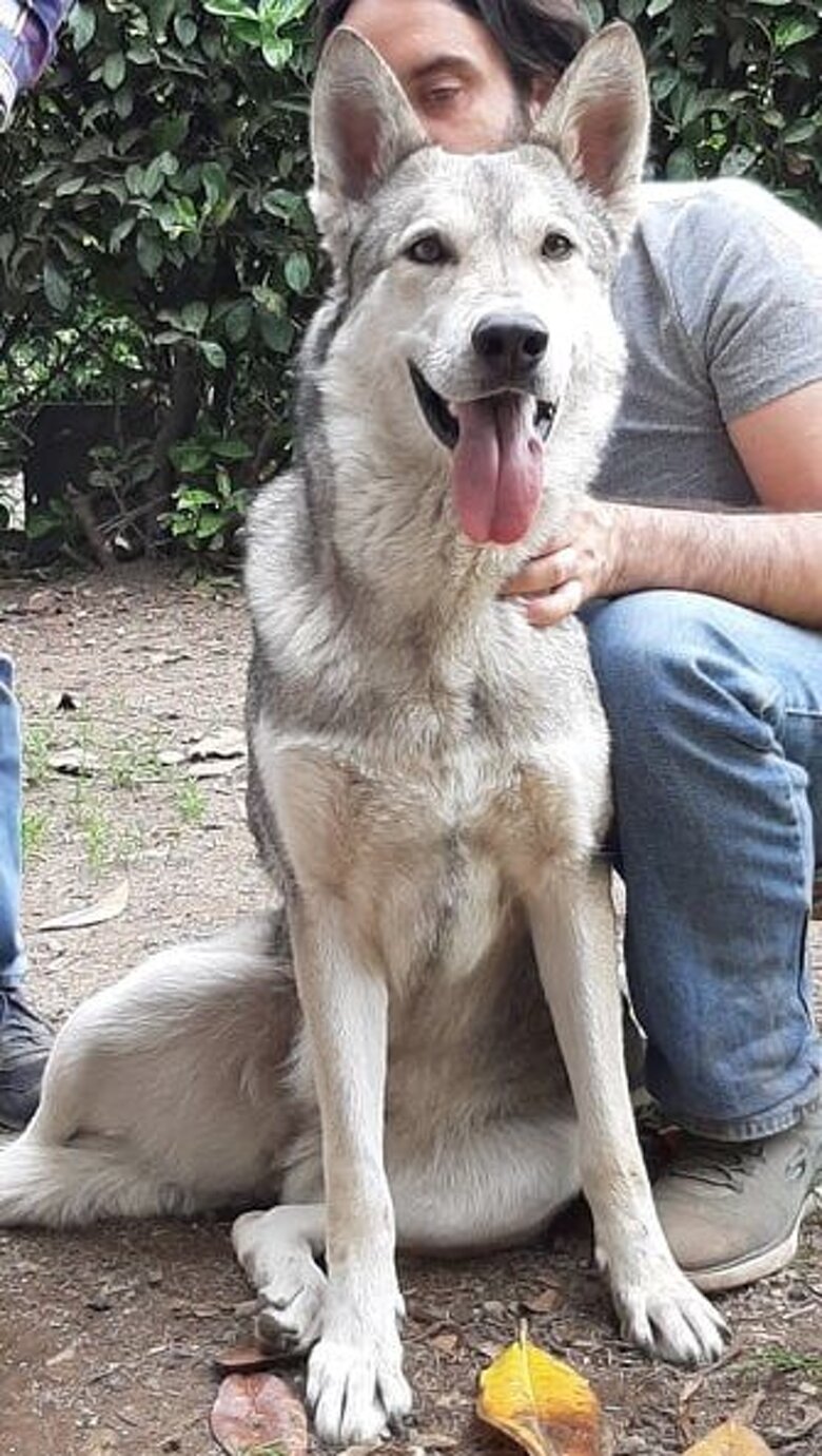 Beren Luthien Baretium Teutha