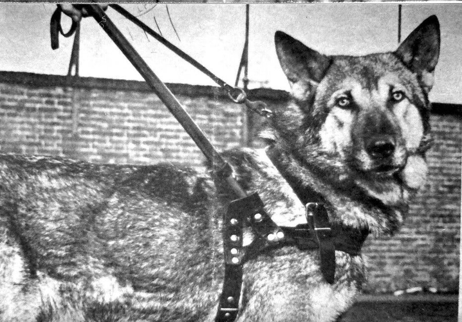 Lastro Van de Kilstroom (F2 - 1967)