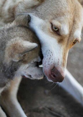 a9abf29b-84f0-4773-9519-7bf178f4761e