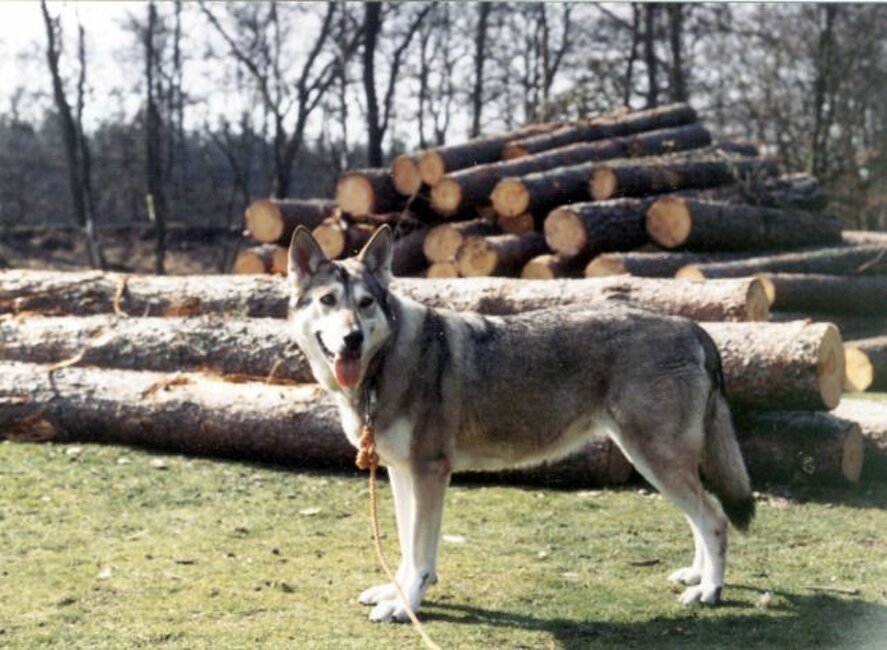 Nathalie Van de Kilstroom (F3 - 1971)