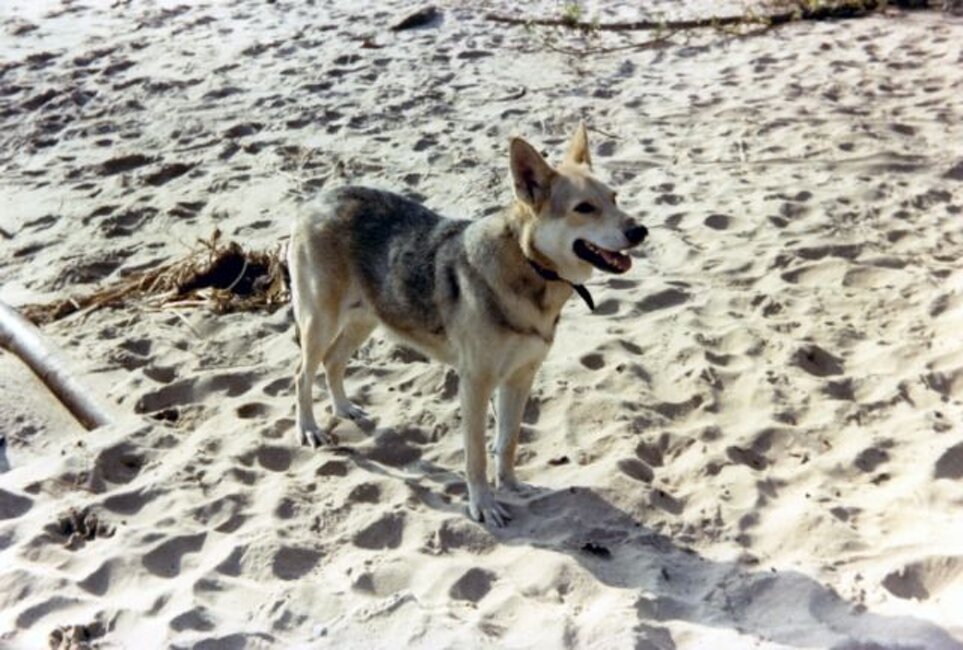 Ustro Van de Kilstroom (1968)