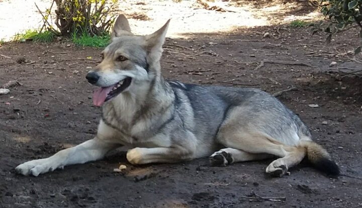 d6b83273-5685-4ec9-95c2-1c67f86a1c9d