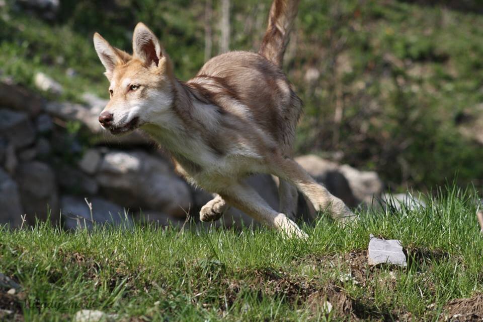 1486820_10202066703262532_1243916773_n