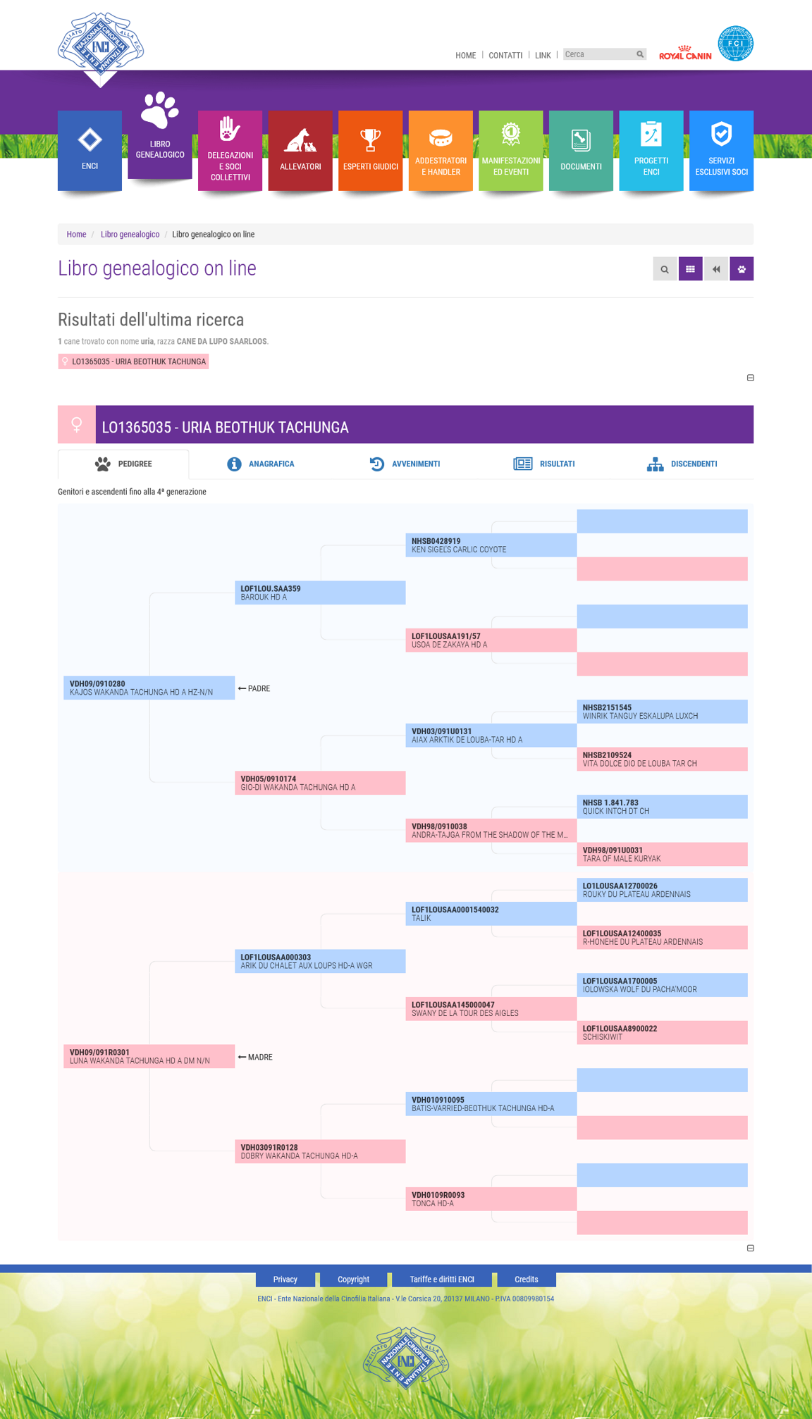dc38735c-ca61-4a96-a321-49c95996a94b dc38735c-ca61-4a96-a321-49c95996a94b