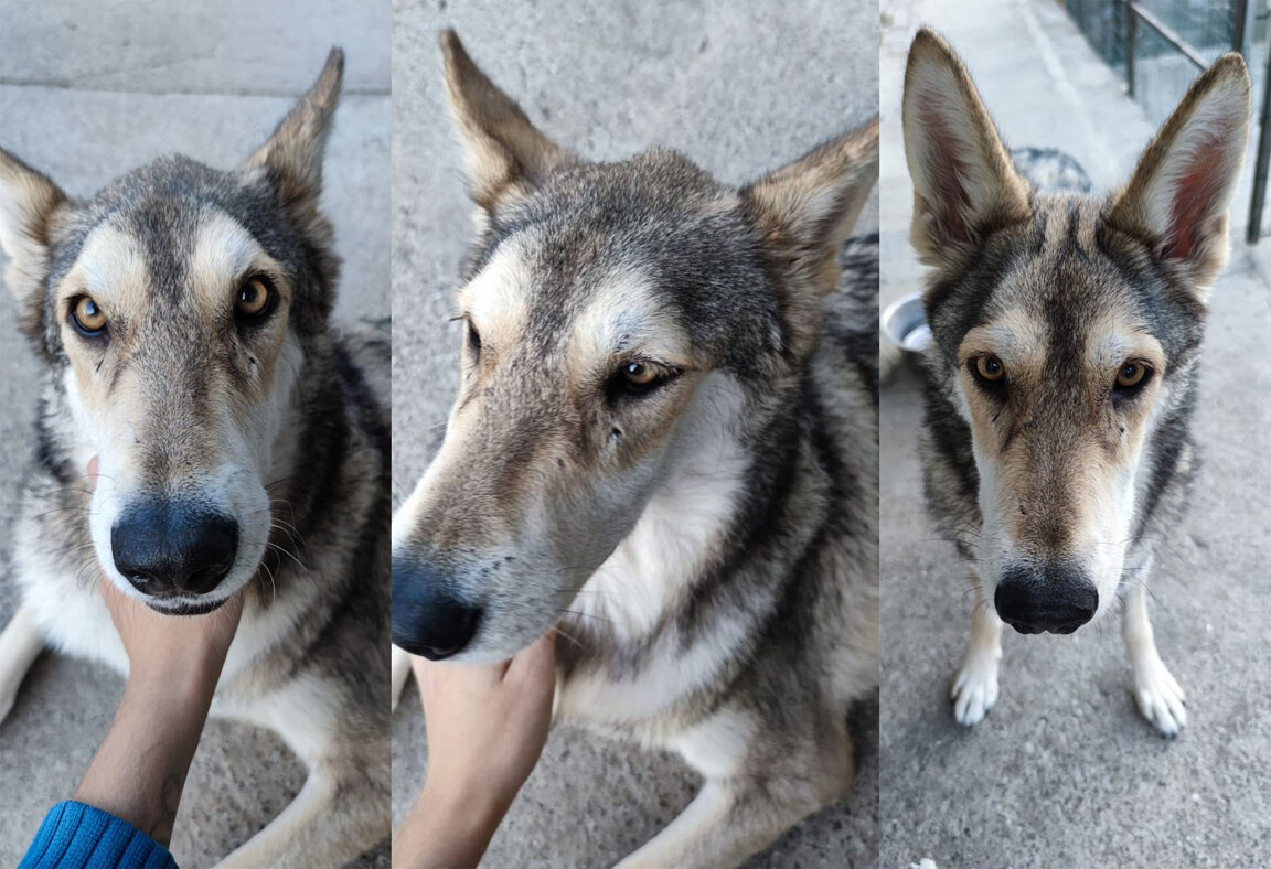 26edc6e4-a4f6-463d-a96b-05aaf8b516d2