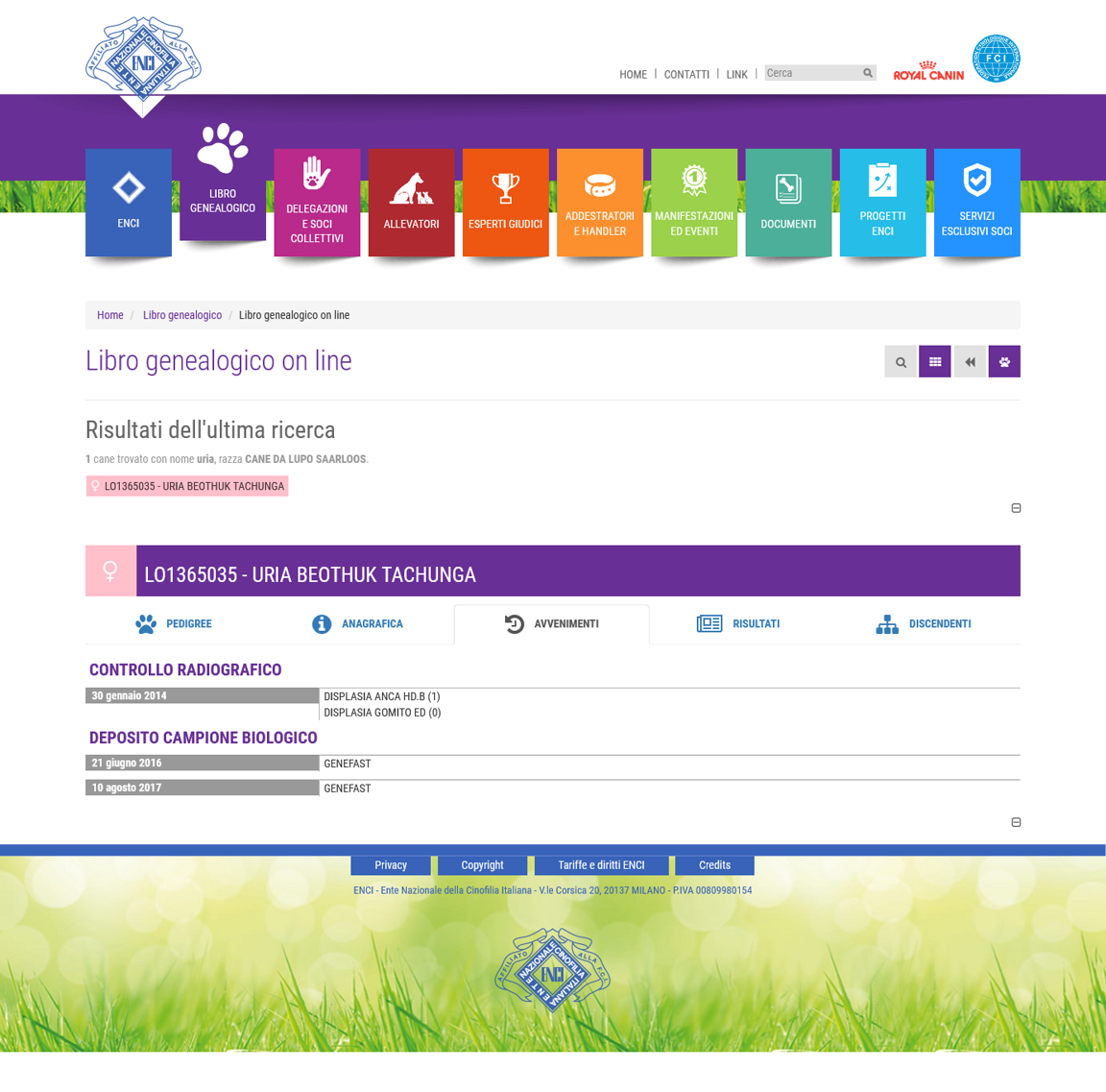 bc231849-400e-4bdf-a628-d952b68161c6 bc231849-400e-4bdf-a628-d952b68161c6