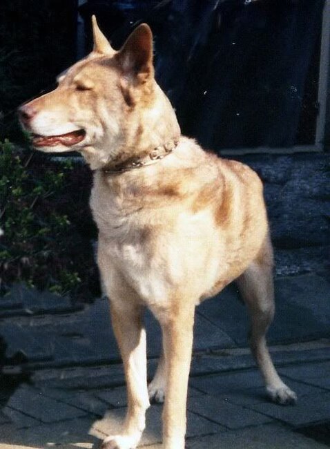 Urba Van de Kilstroom (F3 - 1974)