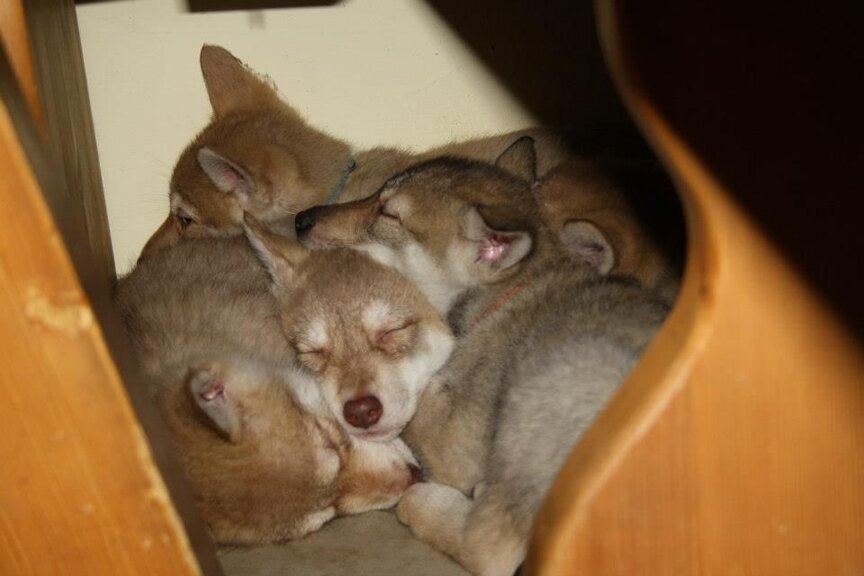 39c9232f-9cd1-4b40-98f1-b927a11bffa6