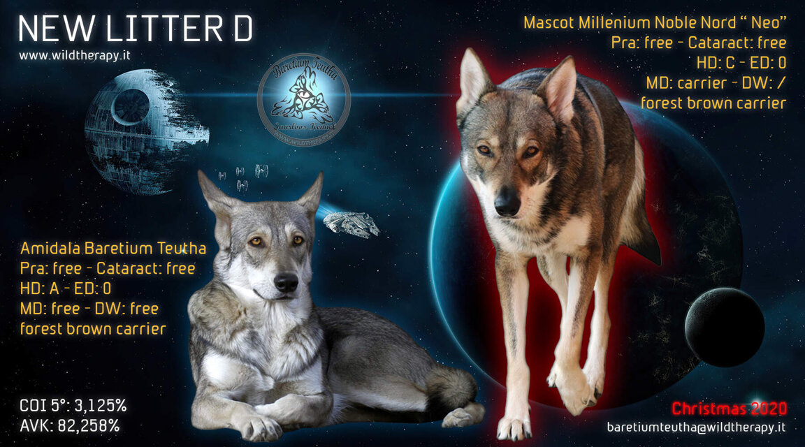 5a6fae8a-ce6f-4327-80f4-aabf307dd1f5