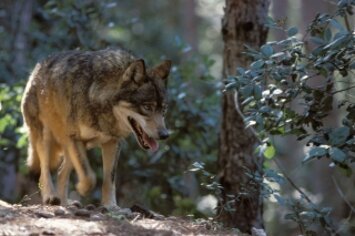 1c71383e-b08f-4750-bfd0-31d94b9a09e1 1c71383e-b08f-4750-bfd0-31d94b9a09e1