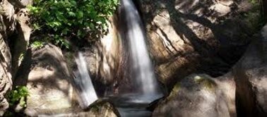 913fd489-d1a5-41a9-a4d3-9ff8ae13ef87.jpeg 913fd489-d1a5-41a9-a4d3-9ff8ae13ef87.jpeg