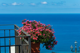 e8c7e252-79e4-4d66-bd20-72046169fe97 e8c7e252-79e4-4d66-bd20-72046169fe97