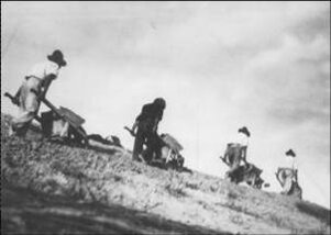 e53a0e68-ed5d-48a0-bcec-8164943983fc e53a0e68-ed5d-48a0-bcec-8164943983fc