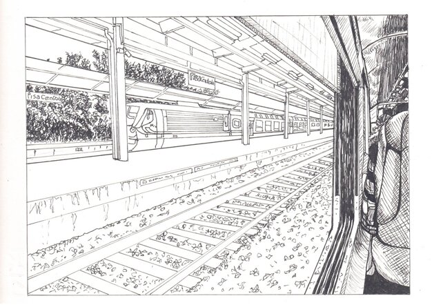 r10 131124 pisa.jpeg