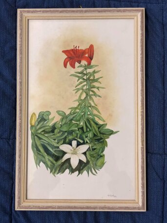 123145877_399929117854139_8625433226848218250_n - copia.jpeg