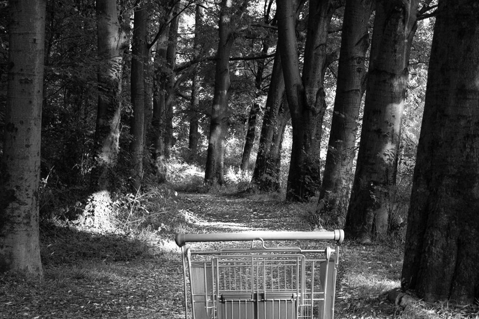 c527577e-021b-4d24-a7d6-6c156daf3ec2