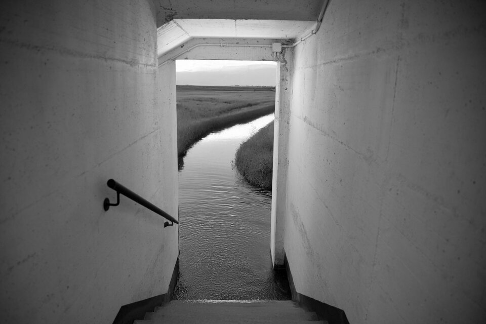 ef639b46-1fa8-4462-9d83-b4a978497adf