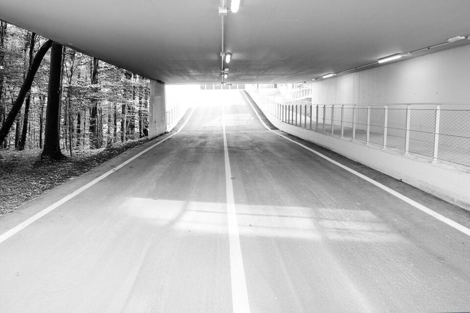 f54f1d8a-2c06-4e65-a9c9-6598722899bc