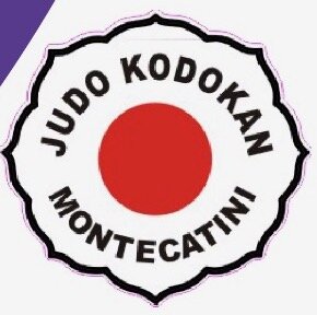 judo sfondo.jpeg