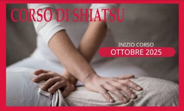 19b0f4fc-f1dd-4fa5-836d-45532e912adc