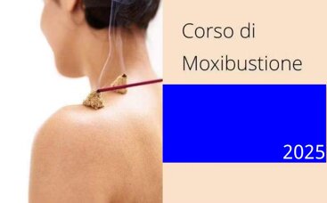 3ff09544-9650-485d-91b7-8946322c0faf