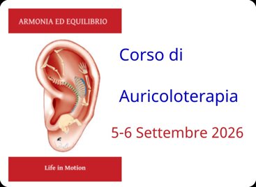 aurci corso 26.jpeg