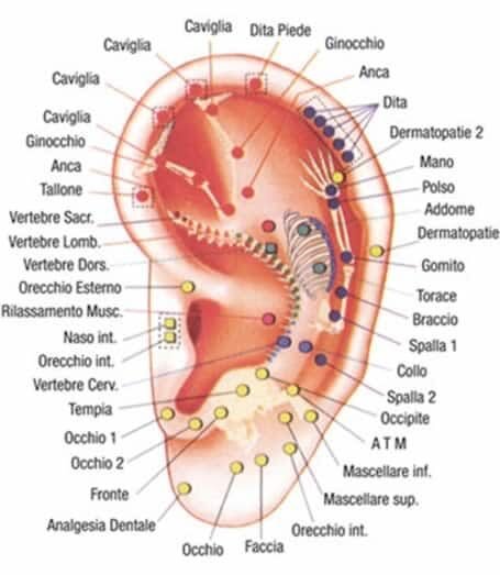 3652c593-fd7e-4ad0-a4c4-219acf85714c 3652c593-fd7e-4ad0-a4c4-219acf85714c