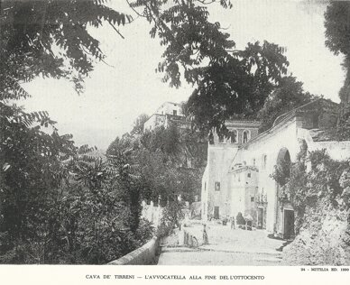 9304a0af-a6b1-419b-ace2-2314f3db224e