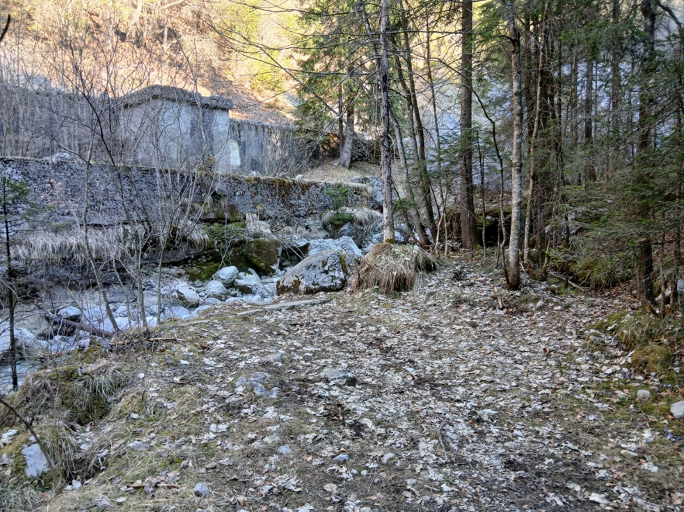 sorgente valzurio 2