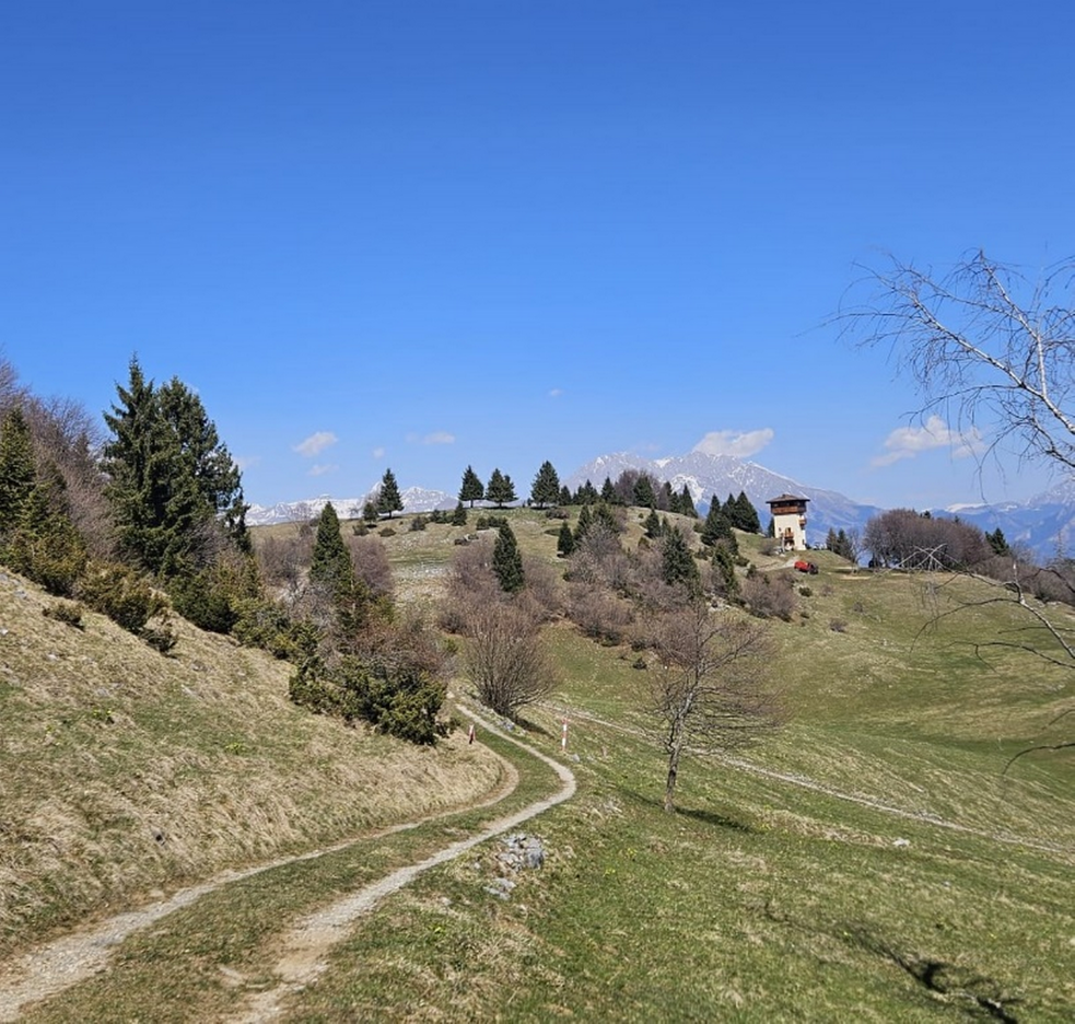 roccolo diavolo 2